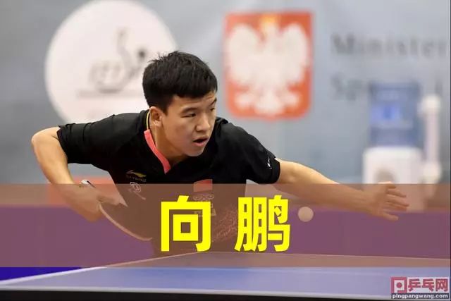 记者：浙江队计划在下周与青岛西海岸进行一场热身赛